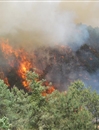 云南保山森林火灾已持续3天 过火面积约1200亩